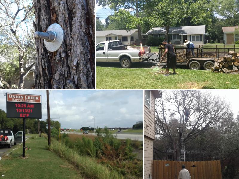 Arbor Logical Tree Care