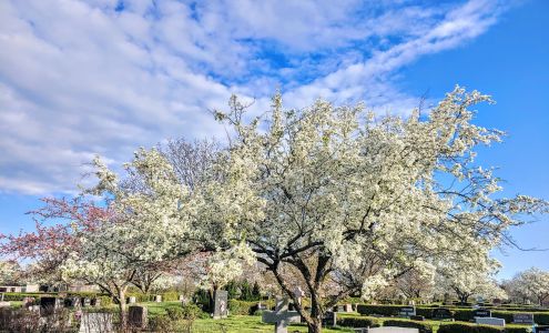 Resurrection Cemetery