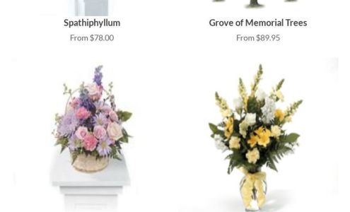 Bohn Matich Funeral Home Inc 1099 Maplewood Ave, Ambridge Pennsylvania 15003