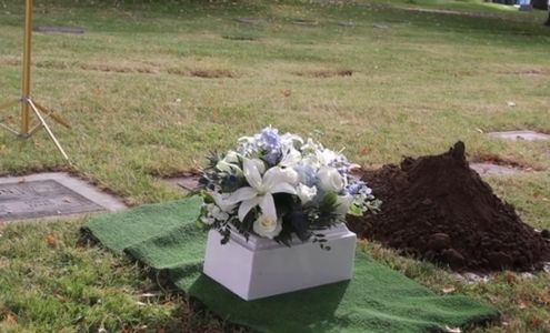 Mountain View - Colonial Dewitt