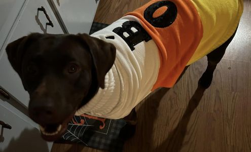 Dennis J Daugherty Funeral Home