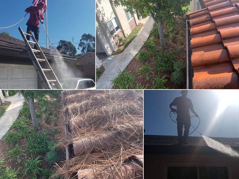 Any & All Rain Gutter Cleaners