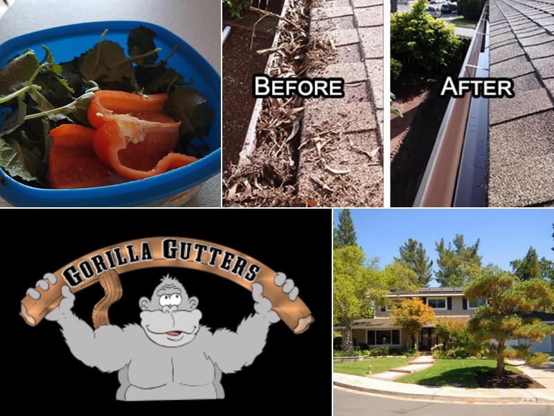 Gorilla Gutters,Inc.