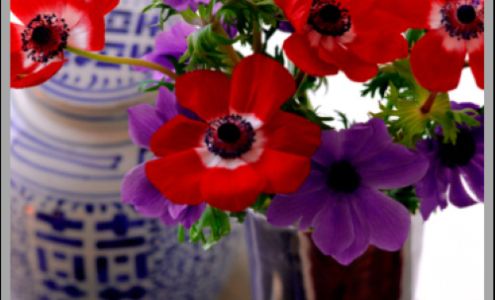 Updike Funeral Home & Cremation Service 1140 W Lynchburg Salem Turnpike, Bedford Virginia 24523