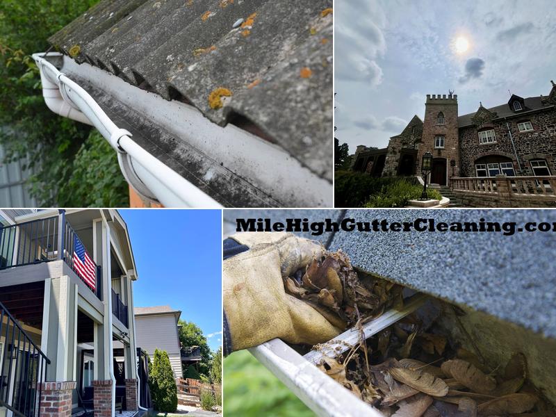 Mile High Gutter Cleaning
