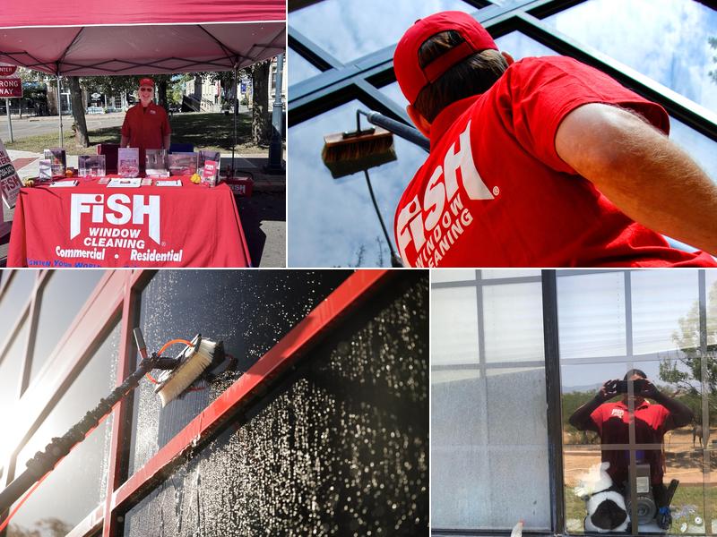 Fish Window Cleaning