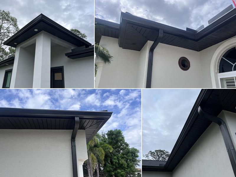 Zeus Gutter Protection