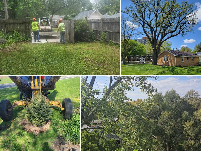 Total Tree Service