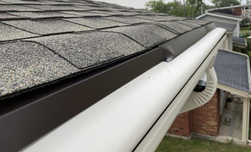 Leafguard Gutter Protection