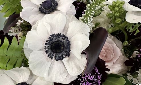 Amanda Clayton Designs