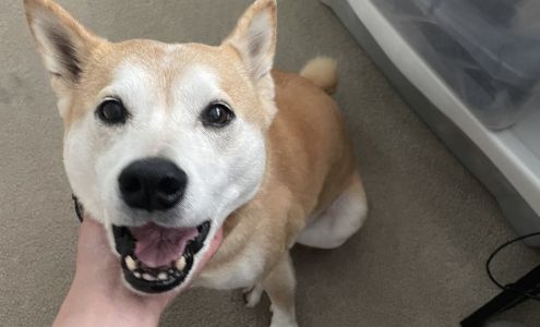 Santa Monica Handyman