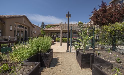 Adora Luxury Townhomes