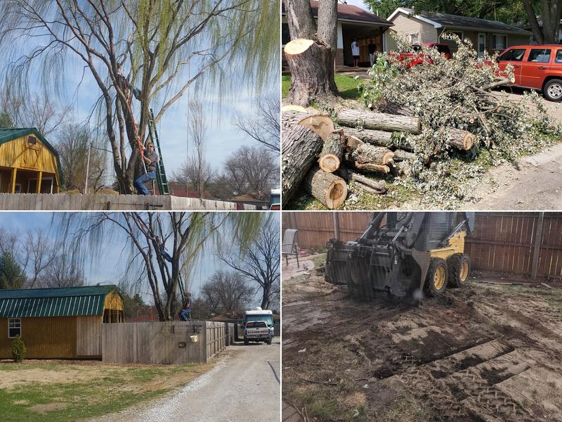 Darr's Tree Services