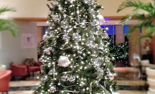 Victoria's Plant Designs