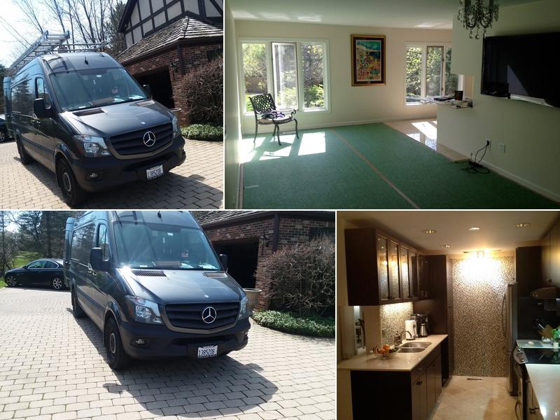 Tiger Lily Collection