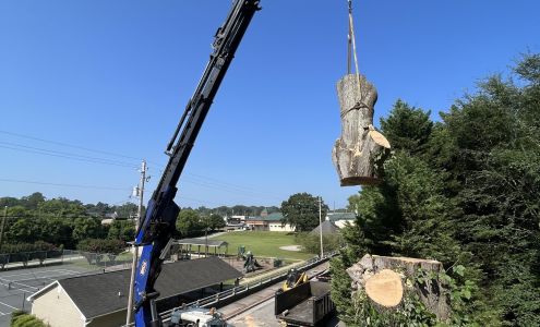 Quality Diversified Services