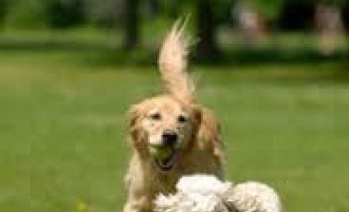 Magnolia Villas of St Gabriel Saint Gabriel