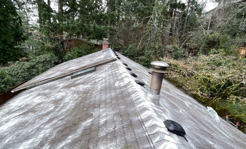 New Era Window & Gutter Cleaning