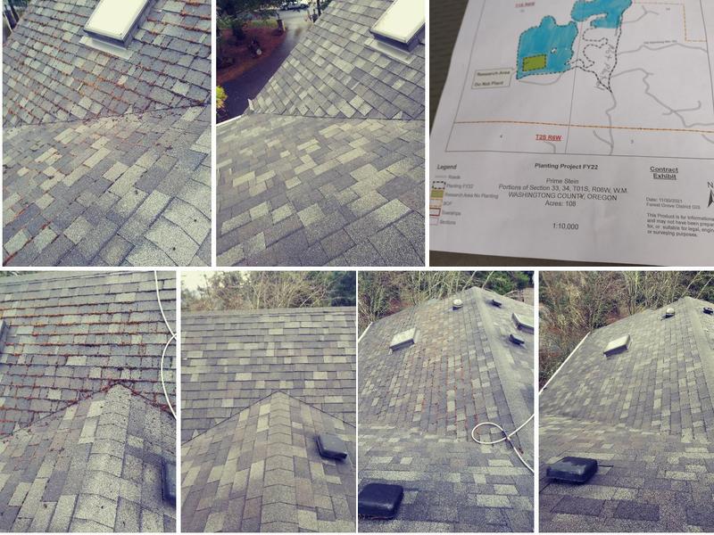 Quest Cleaning Services