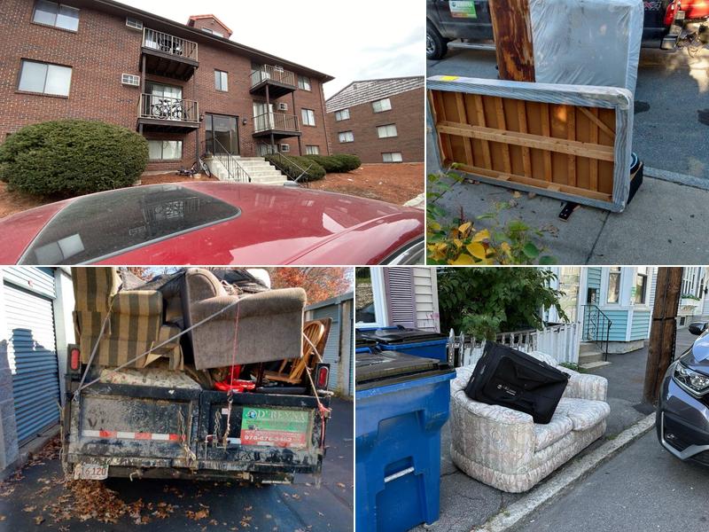 D'Reyna Handyman and Trash Removal