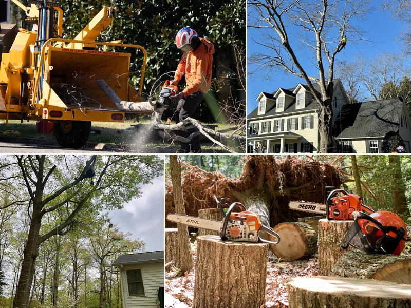 Hub City Tree Company