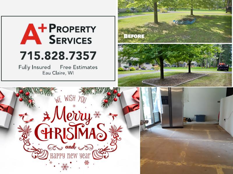 A+ property services