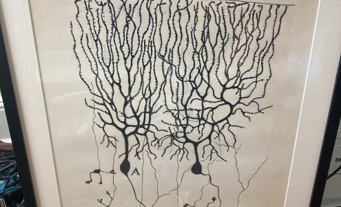 Across The Tracks Framing