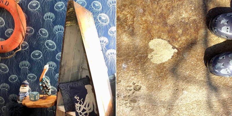 Stephanie Osman Design