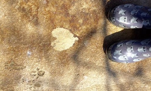 Stephanie Osman Design