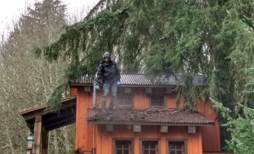 Quick and Clear Services, Inc.