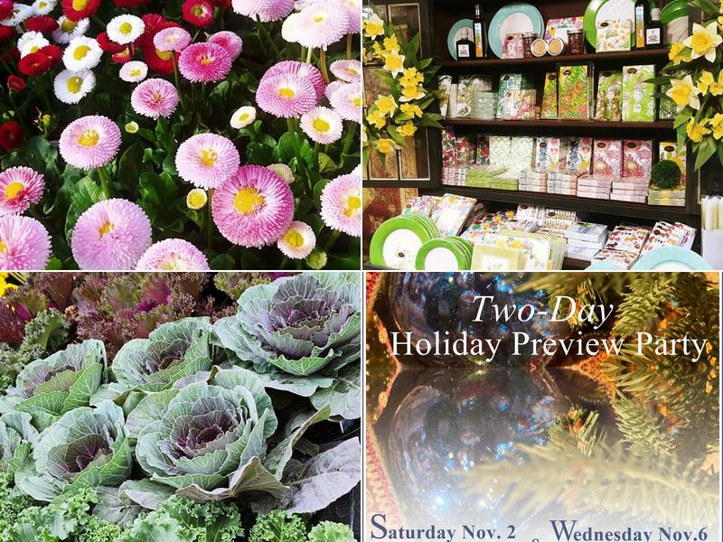 Sycamore Springs Home and Garden