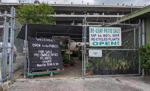 Re - Leaf Plant Market