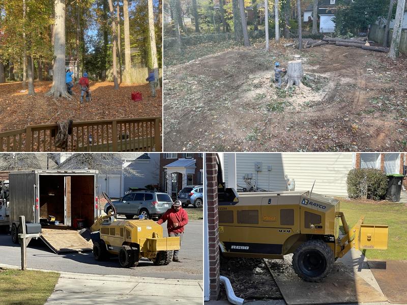 Beavers Tree Service