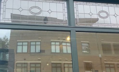 Parliament Interiors