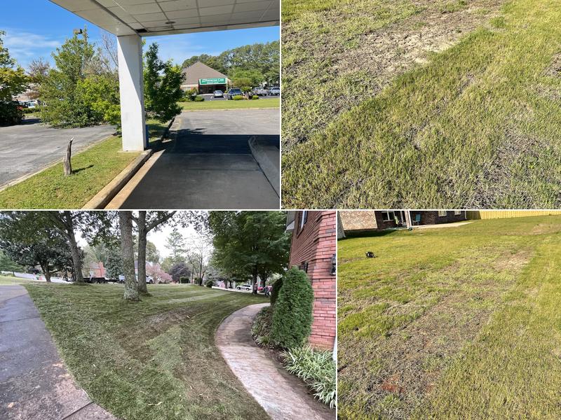 Pro Turf Landscape Management