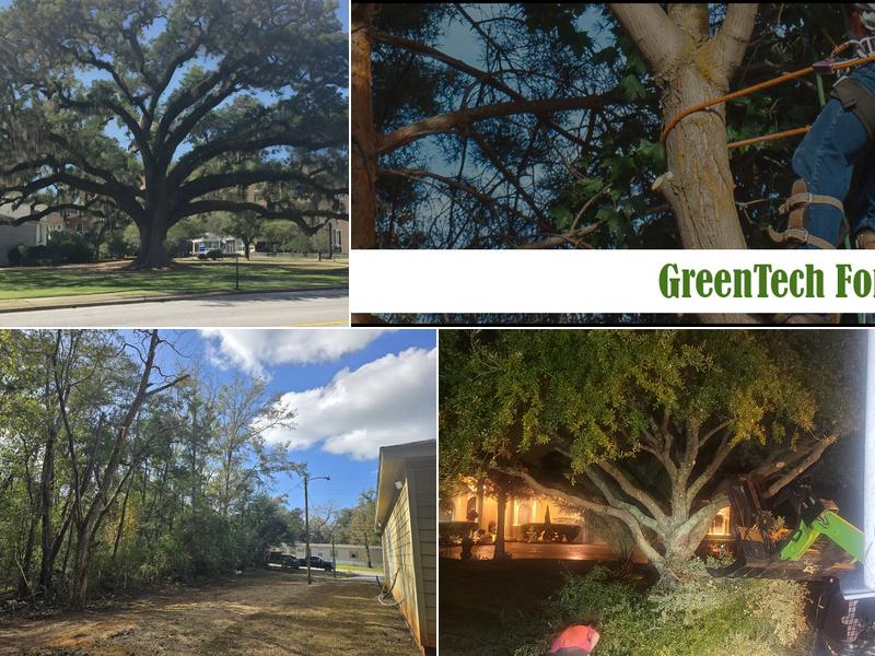 GreenTech Forestry and Tree Removal