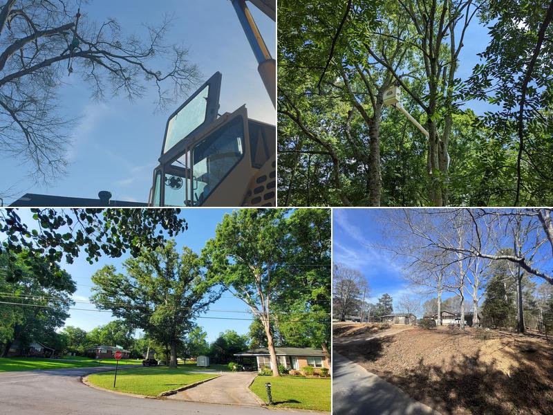 Walker's Tree Service