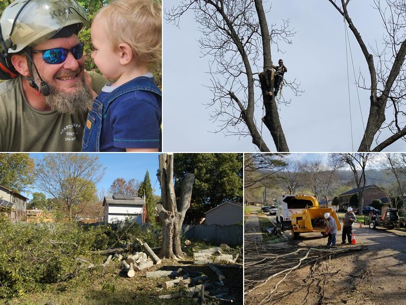 Spartan Tree Service