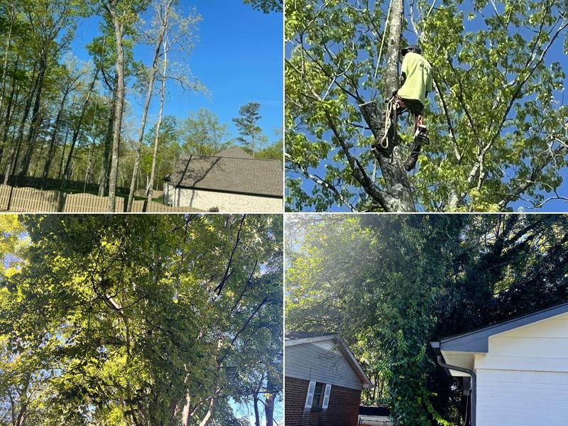 Gardner Tree Service