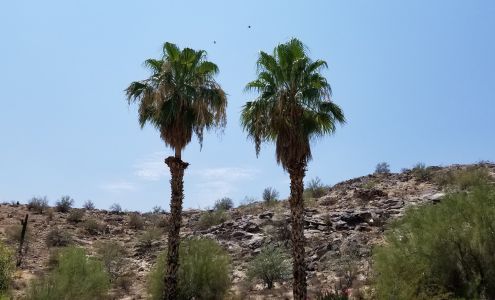 Gonzalez Tree Service LLC