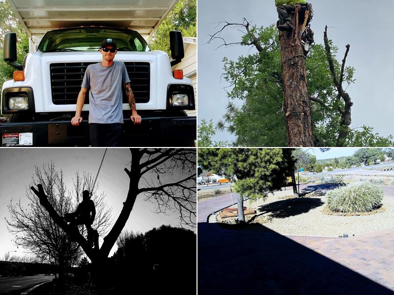 Ketner Tree and Landscaping LLC