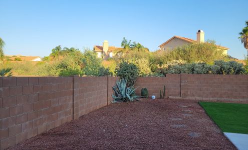 ?Oro Valley Tree Service