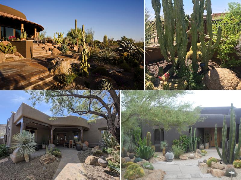 Desert Foothills Landscape