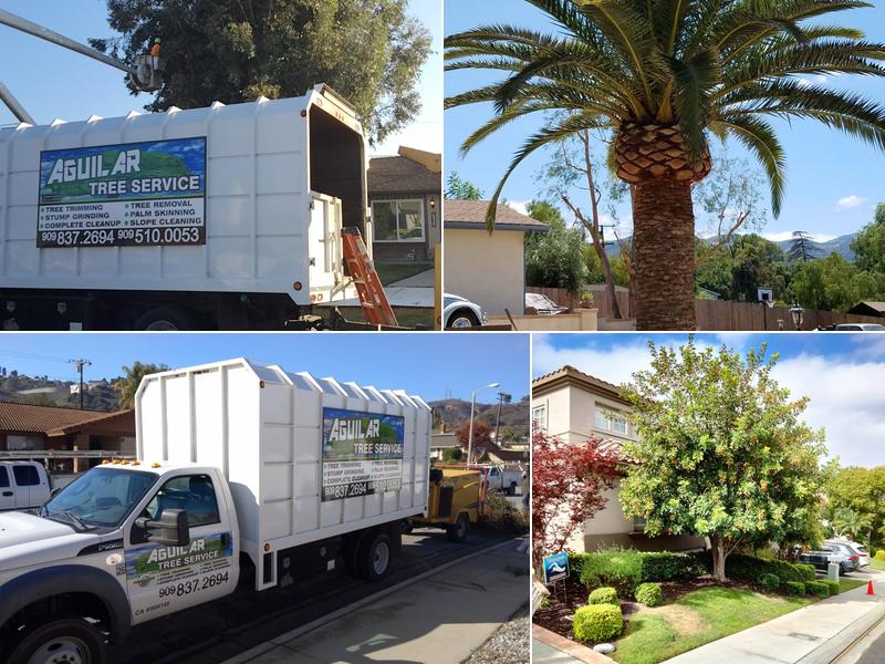 Aguilar Tree Service