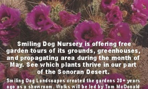 Smiling Dog Landscapes 10049 E Cloudview Ave, Gold Canyon Arizona 85118