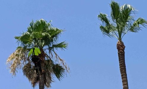 Outdoor Systems Management LLC.