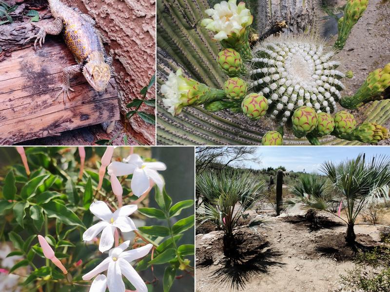 Microcosm Landscaping