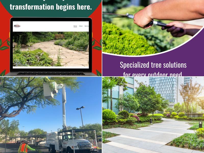 High Desert Landscape and Design