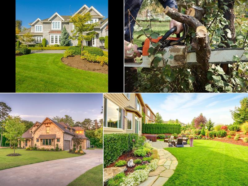 Tus Amigos Tree Services LLC