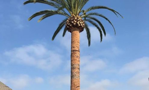 Coastal Arbor Tree Service Inc